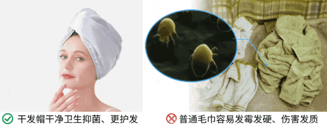 吹干好?10分钟轻松养成女明星「绸缎发」冰球突破豪华版app洗完头自然风干还是(图3) 吹干好?10分钟轻松养成女明星「绸缎发」冰球突破豪华版app洗完头自然风干还是(图3)